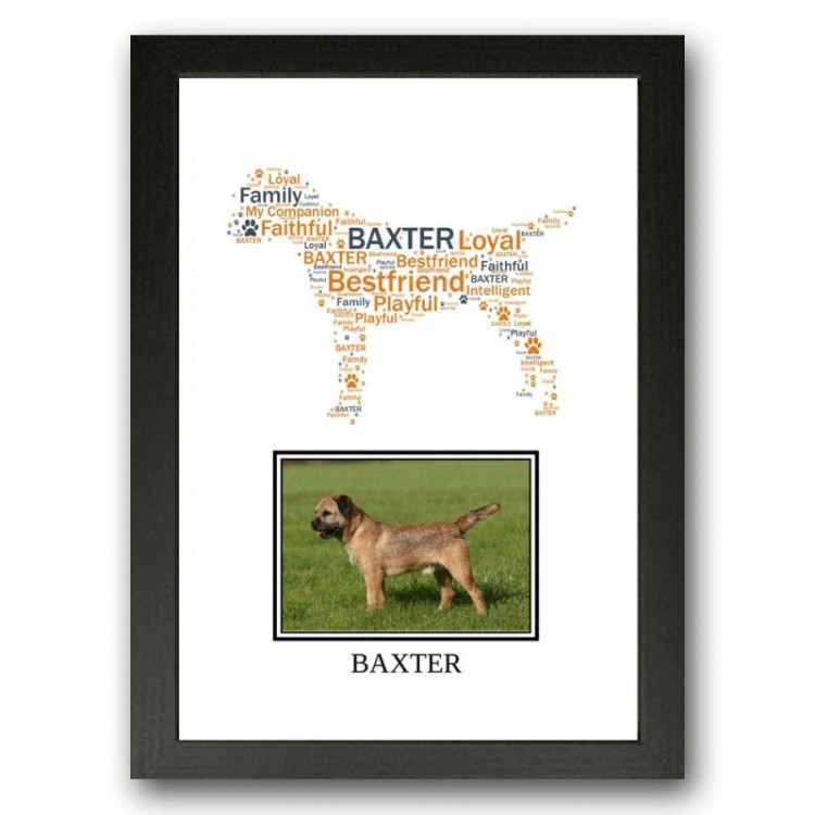 Border Terrier Photo Print Gift